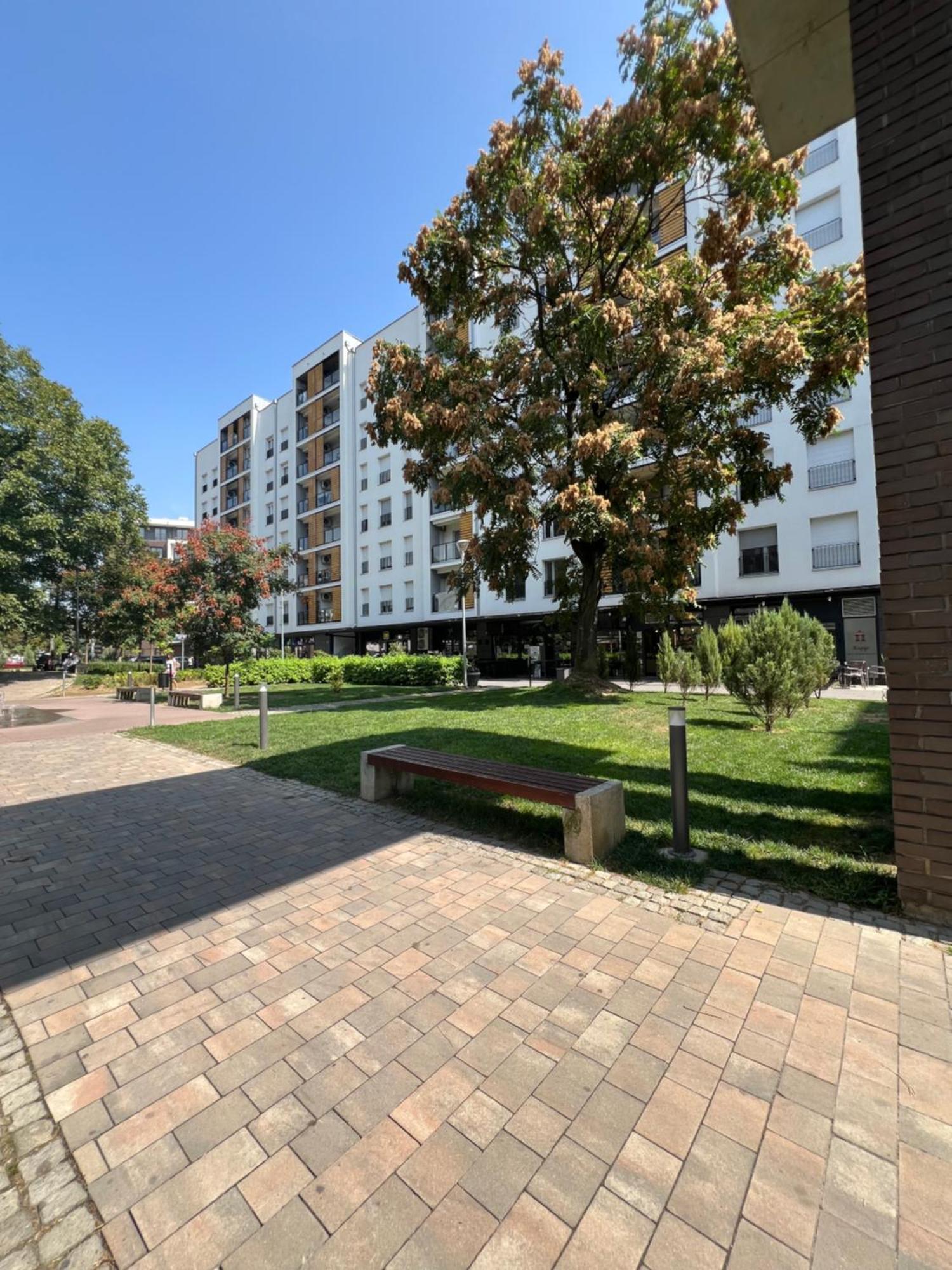 Delete 5 - Zemunske Kapije Belgrado Exterior foto